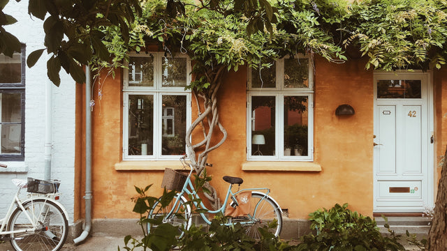 How to Make the Switch to a Vegan and Cruelty-Free Home