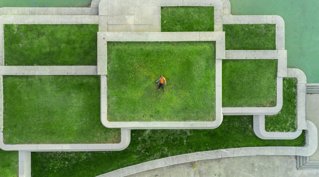 Most Influential Organizations in the Plant-Based World
