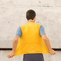 Men's SS Pro Jersey / Gold