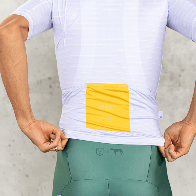 Men's SS Pro Jersey / Rescue Project Stripes